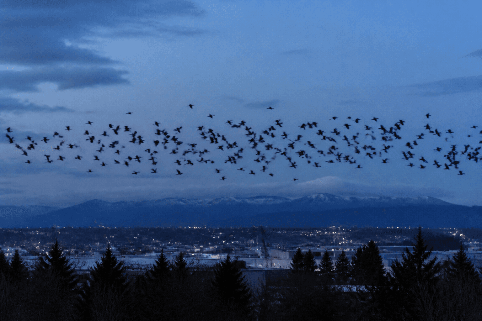 The Crow Highway Over Metro Vancouver